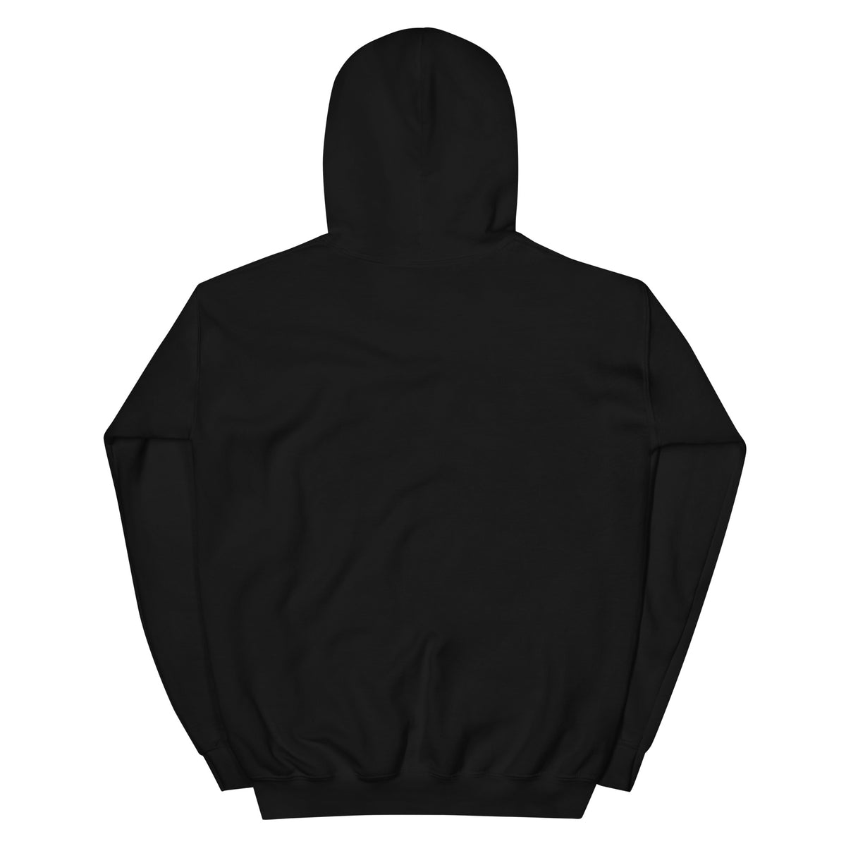 Hope — Anchored in His Promises Hoodie in Black, back view