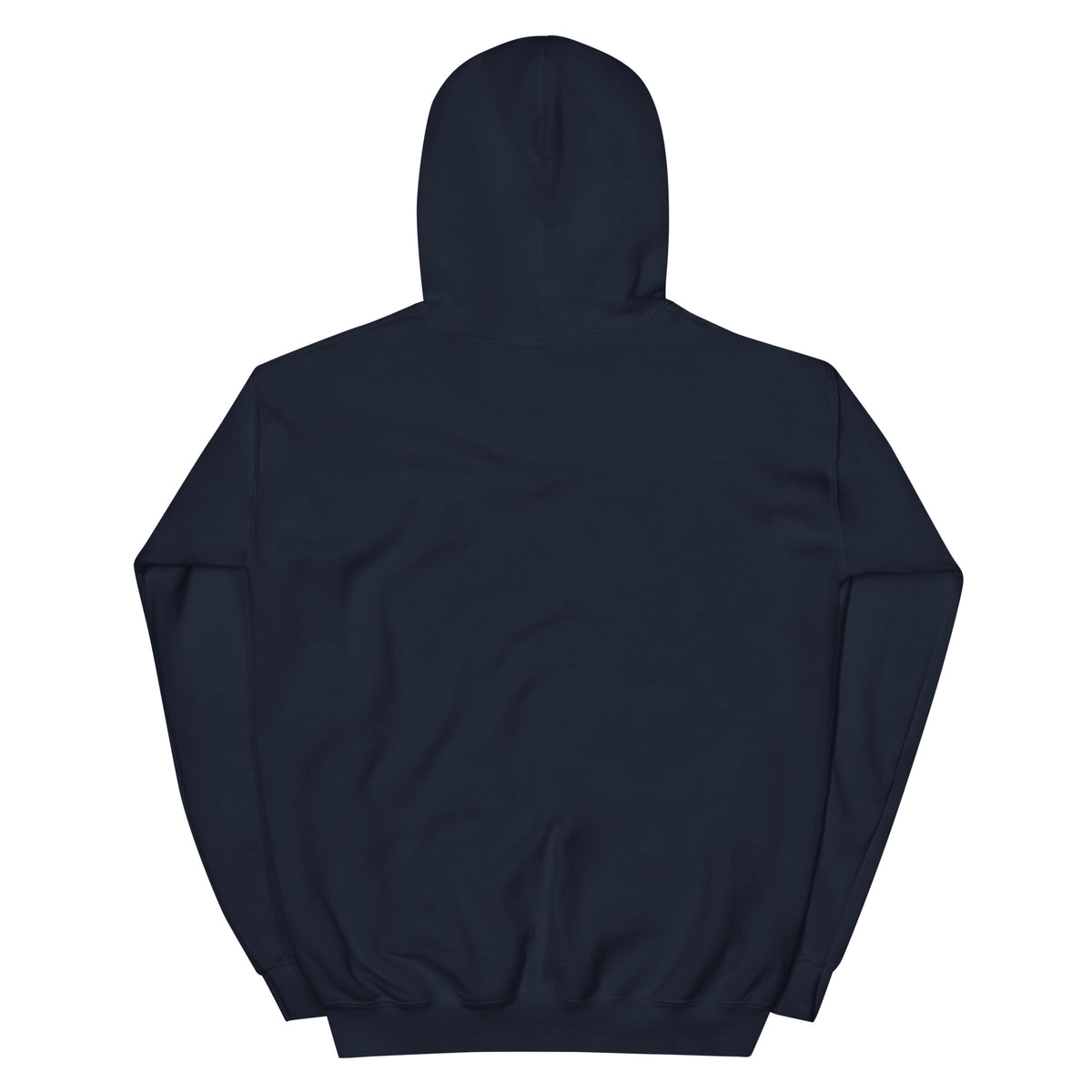 Hope — Anchored in His Promises Hoodie in Navy, back view