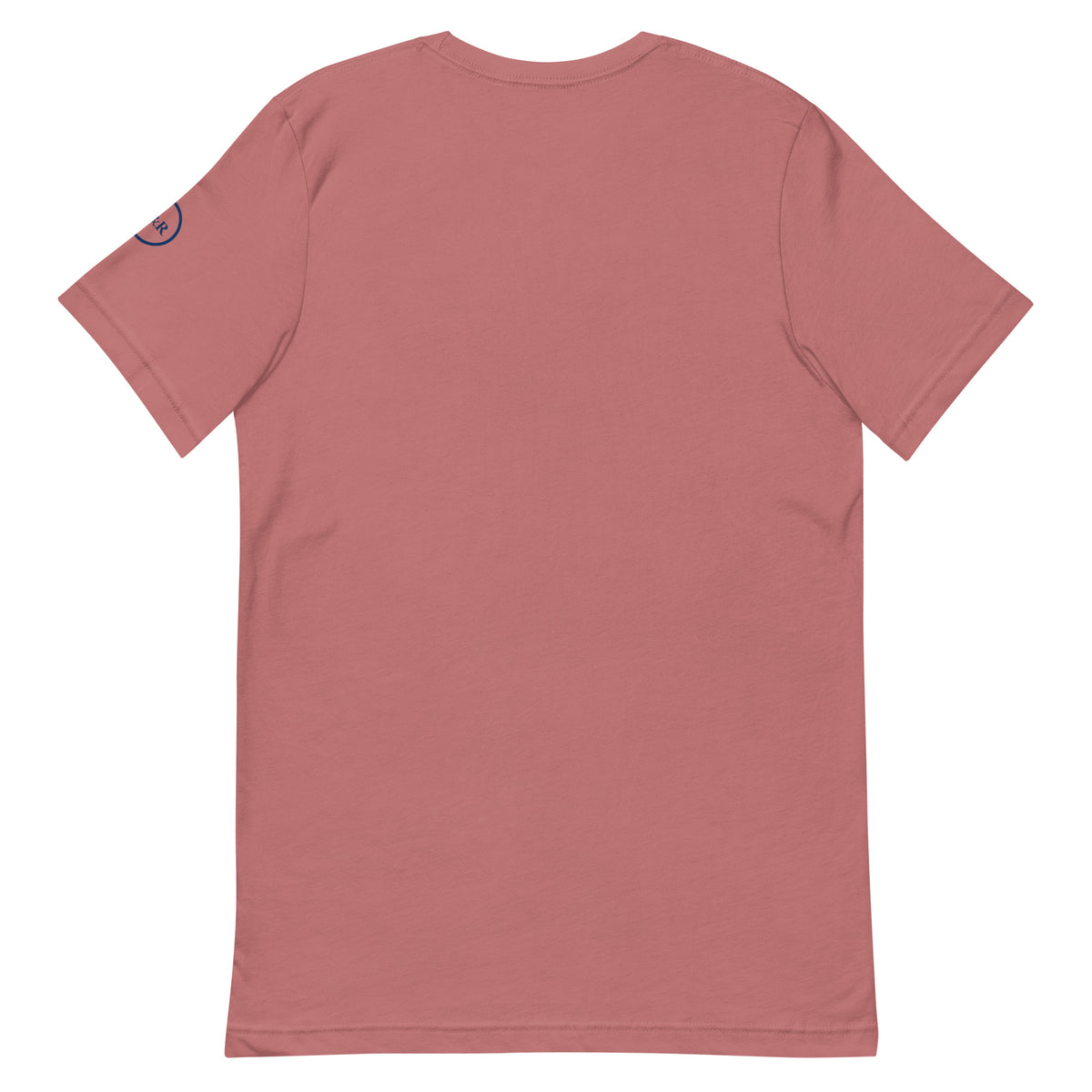 Hope — Anchored in His Promises Tee in Mauve, back view